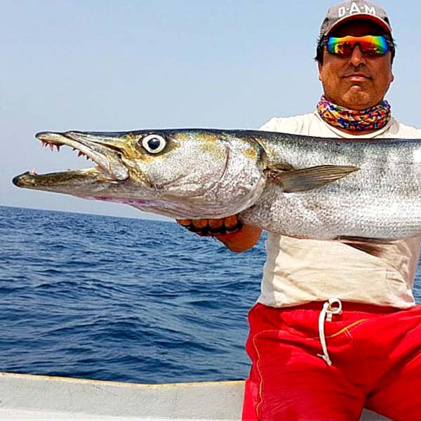 حمید زارع زاده