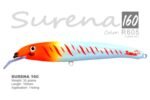 SURENA 160 - Image 4