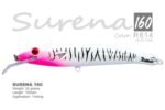 SURENA 160 - Image 7